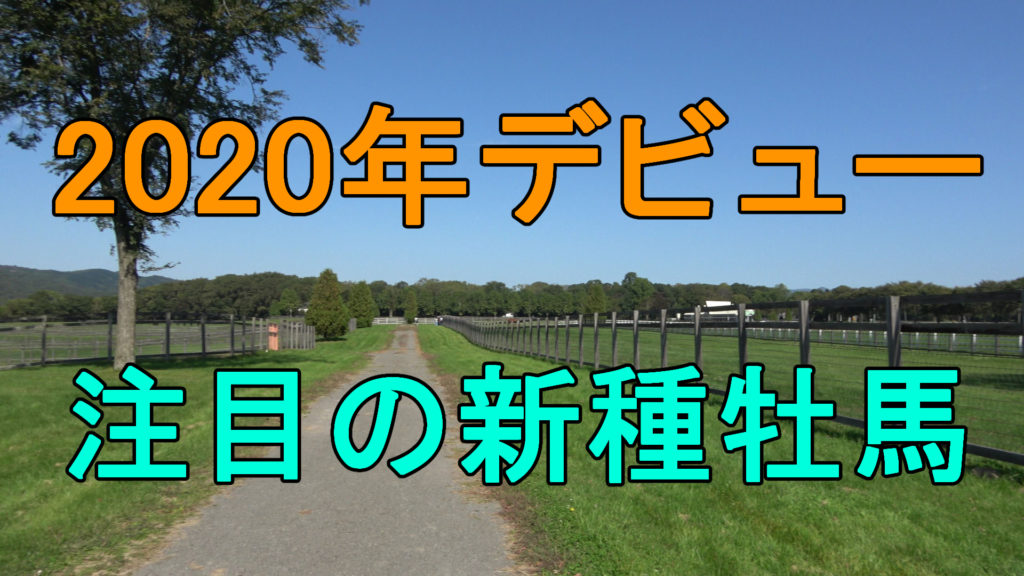 牡馬 2020 新種